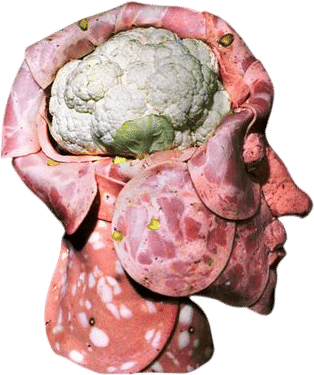 They’re Made Out of Meat /// Terry Bison