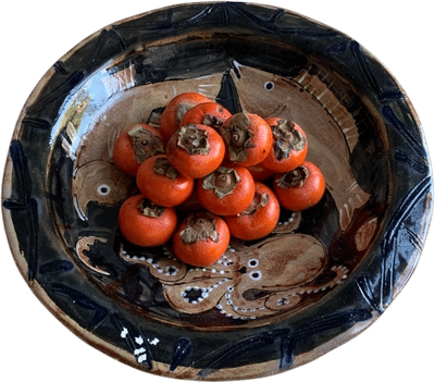 Octopus Fruit Bowl by Skye Chamberlain