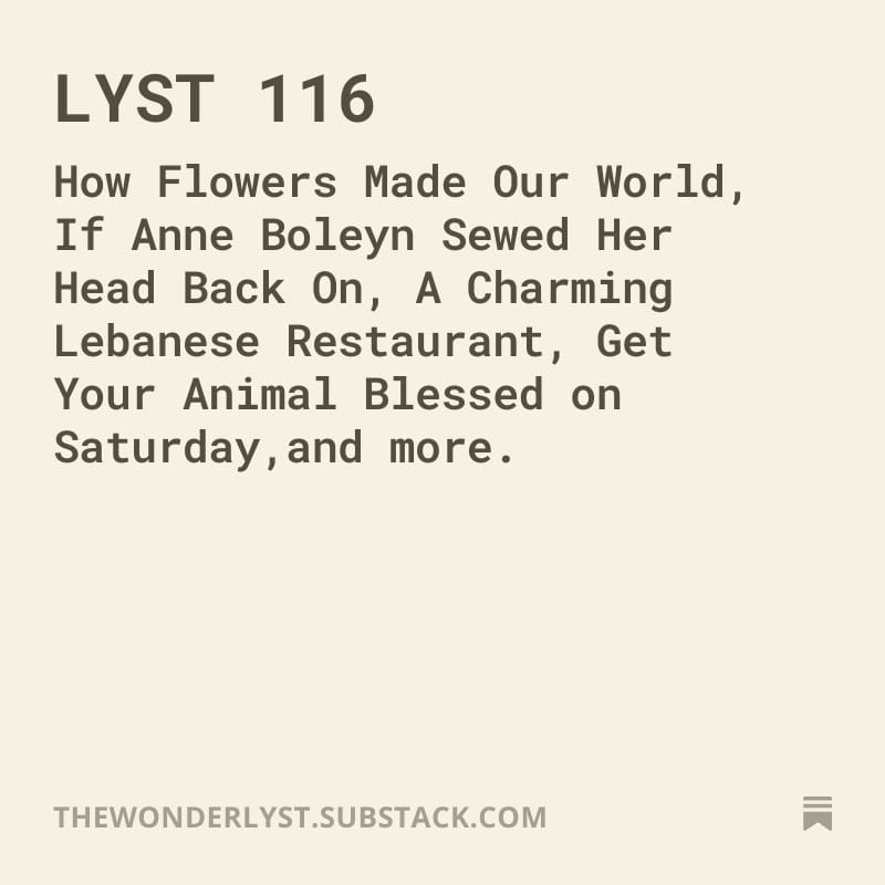 THE WONDERLYST LYST 116