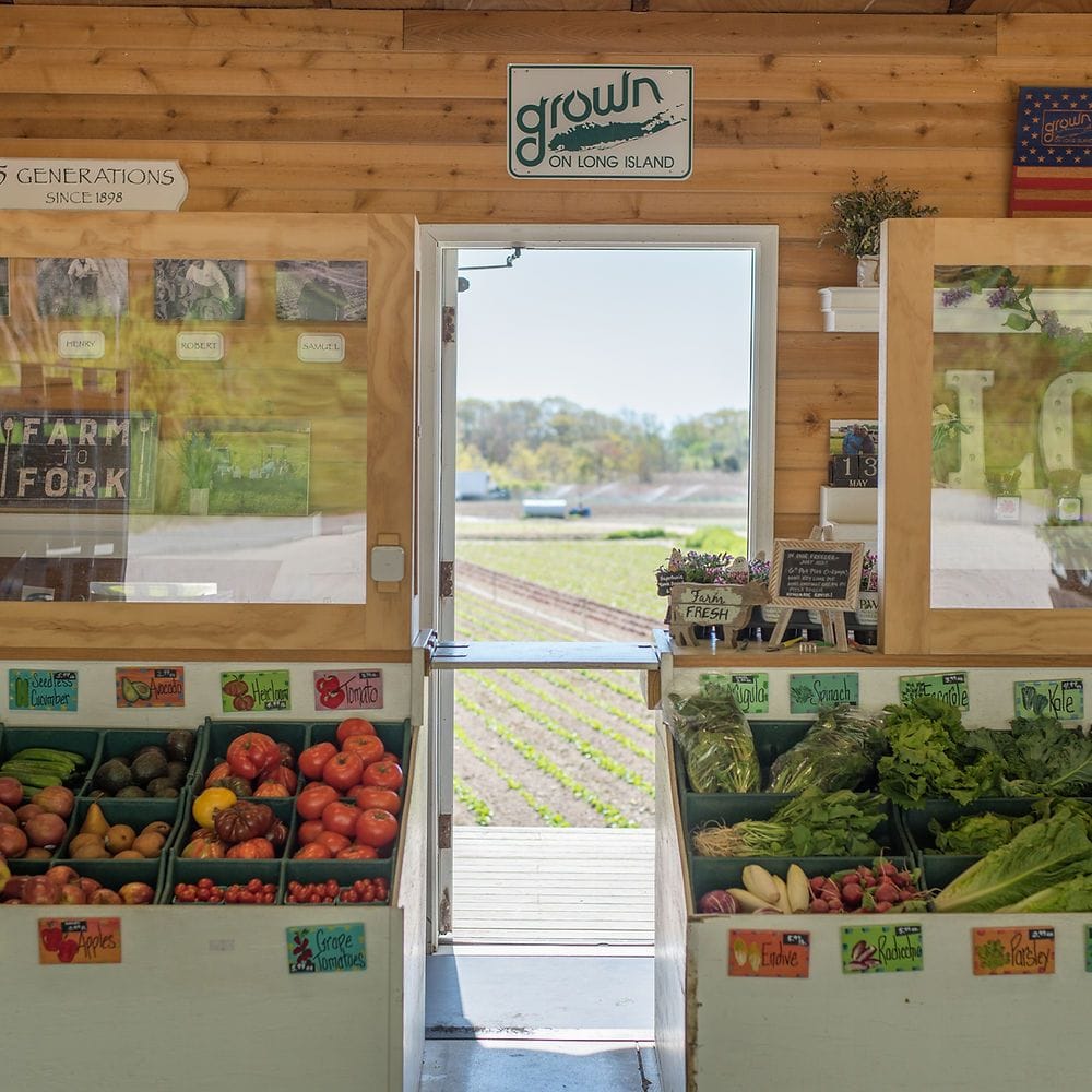 Essentials At Deer Run Farms
