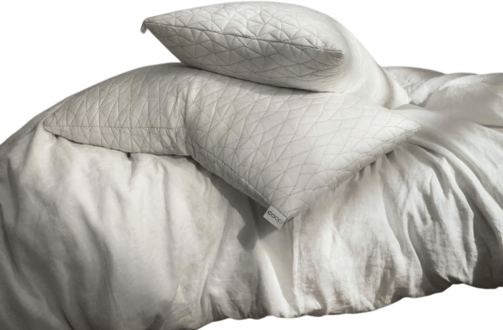 Coop Home Goods Original Adjustable Memory Foam Pillow (King Size)