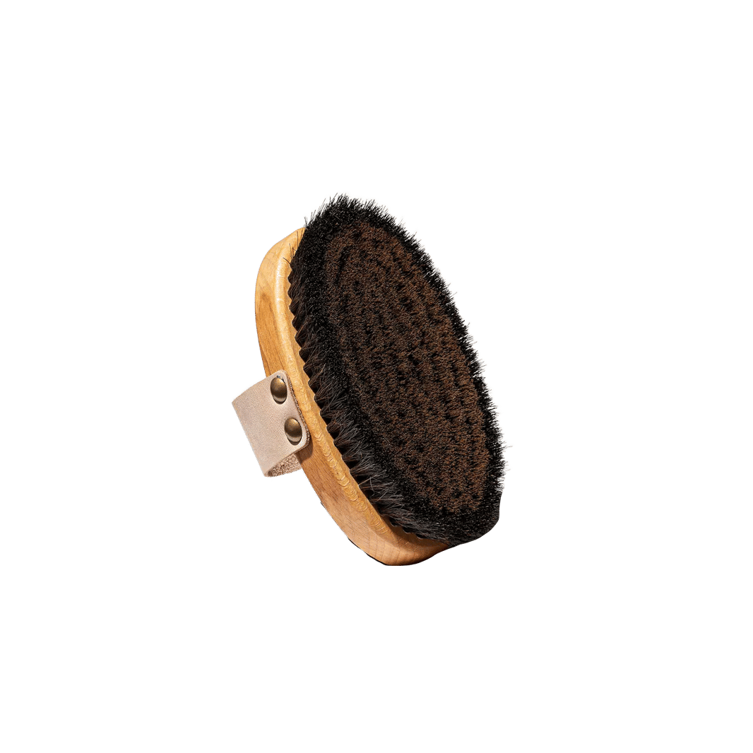 Ionic Body Brush