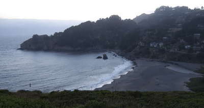 Muir Beach Overlook and Redwood Creek Trail