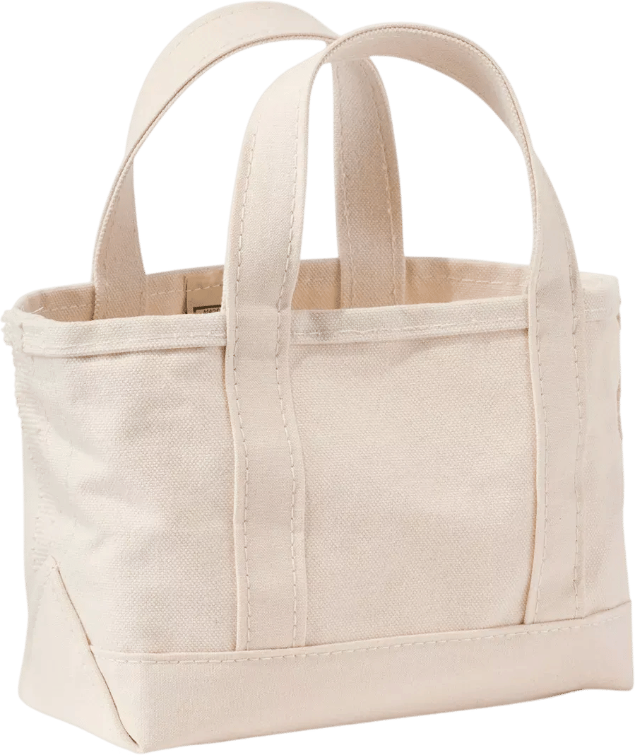 L.L. Bean Mini Boat and Tote