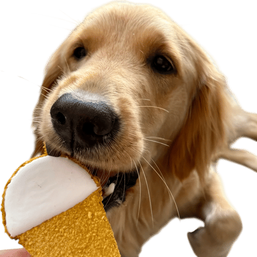 Getting Dog Treats at a Coffee Shop