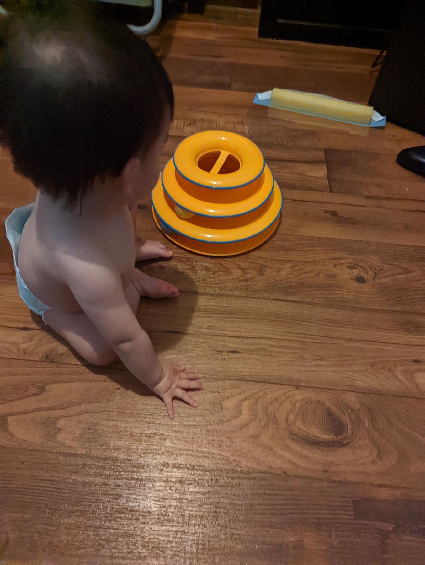 Petstages Tower of Tracks Cat Toy
