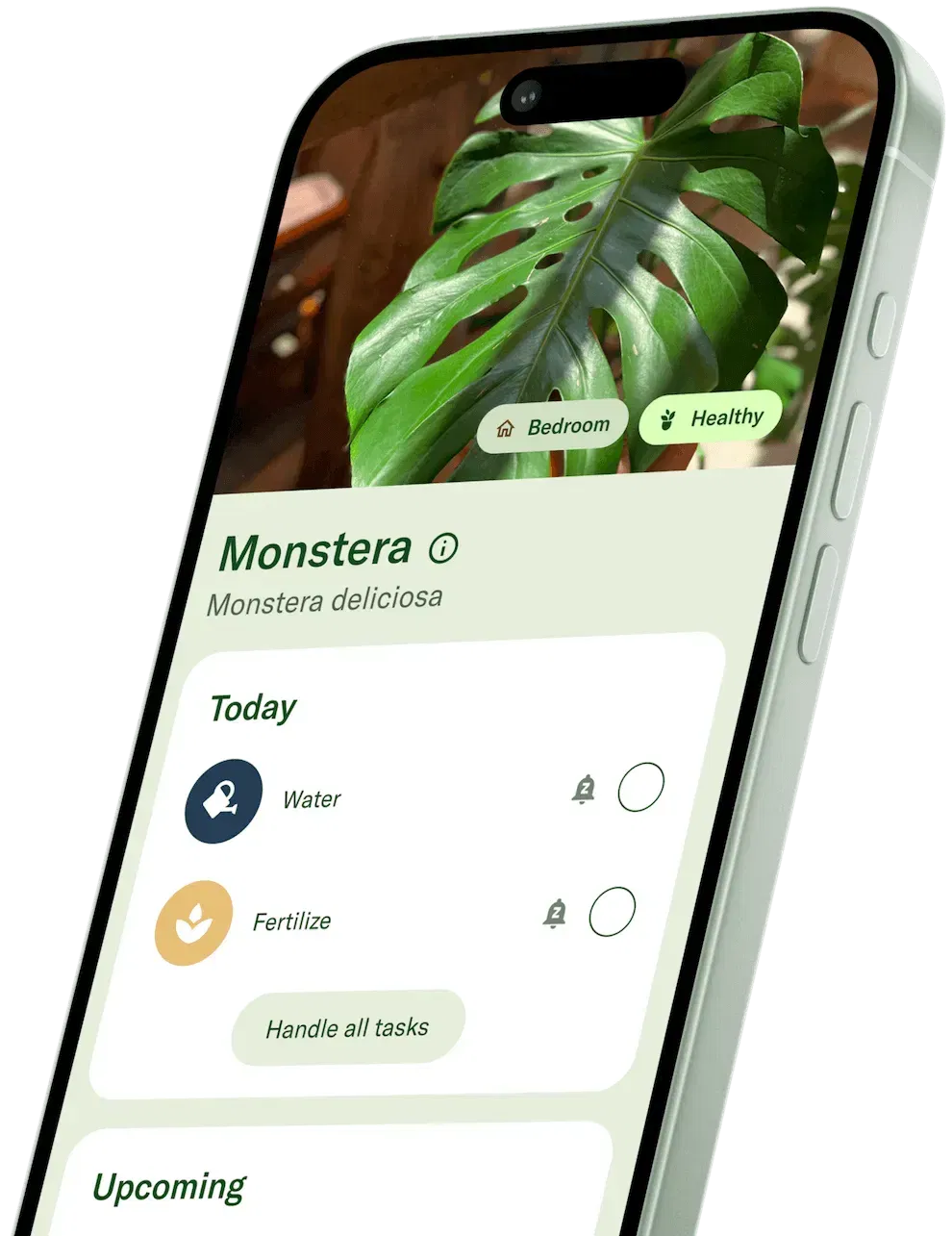 Planta