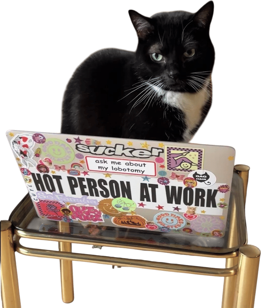 Teaching your cat to touch type