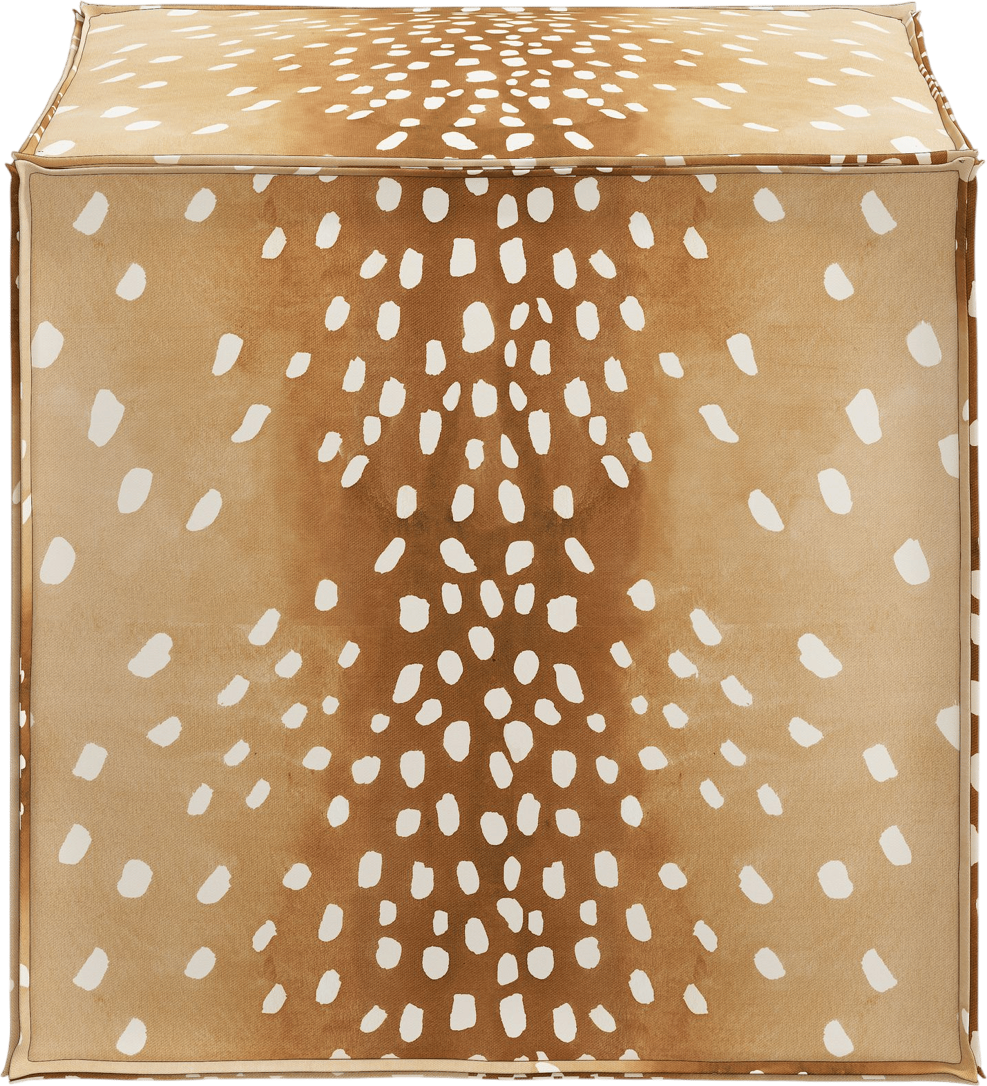 Birch Lane Beyla 19" Square Floral Cube Ottoman