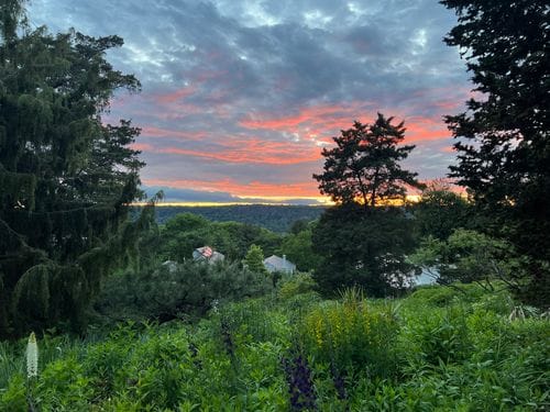 Wave Hill, Bronx NY