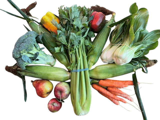 Joining a CSA