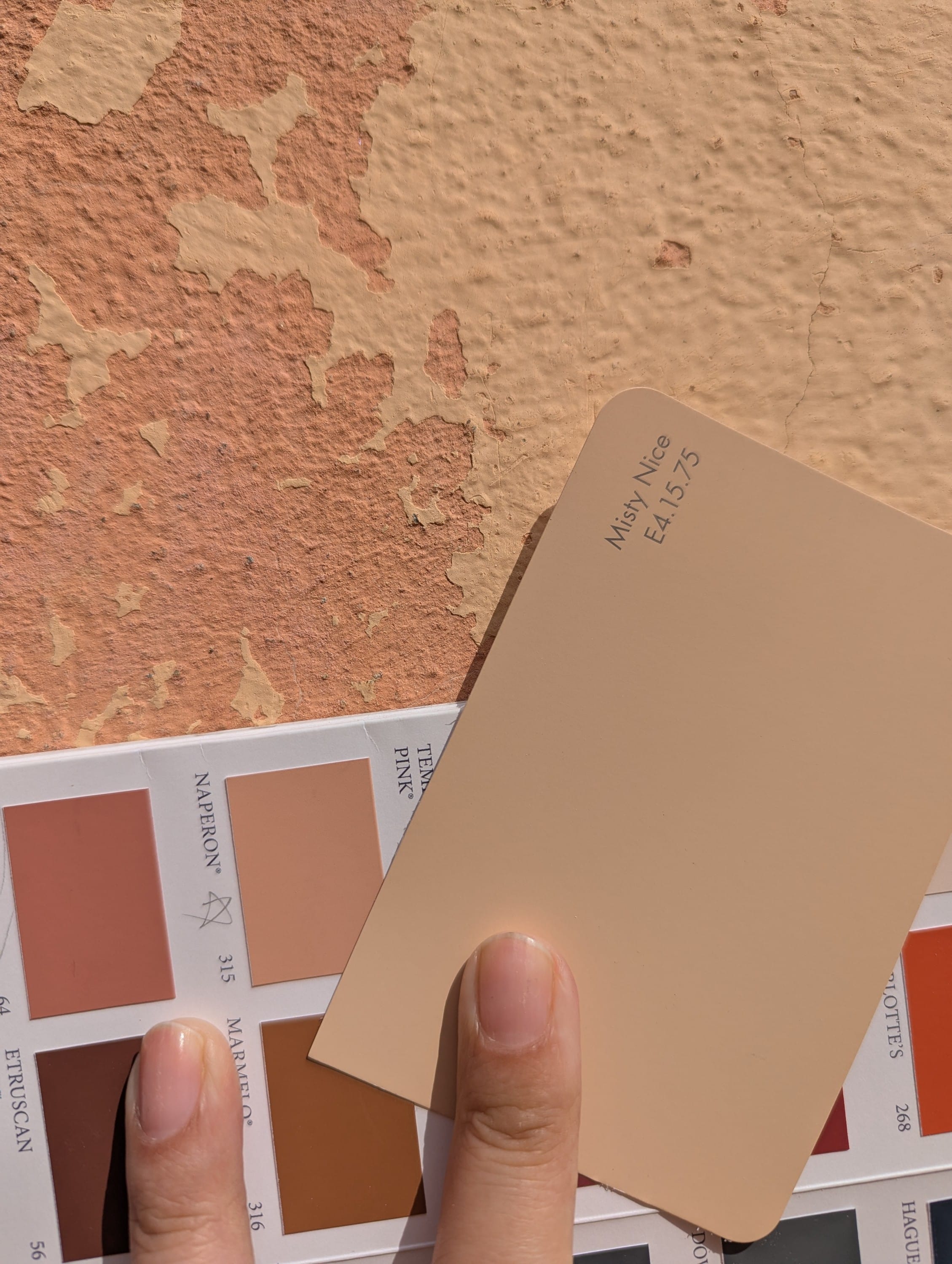Matching your interior paint to your city's color palette