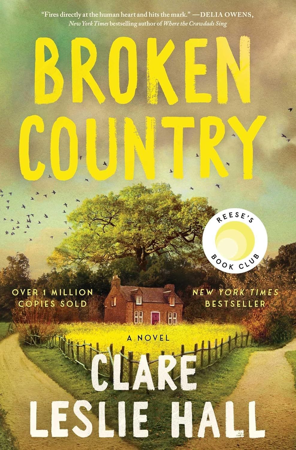 Broken Country (Clare Leslie Hall)