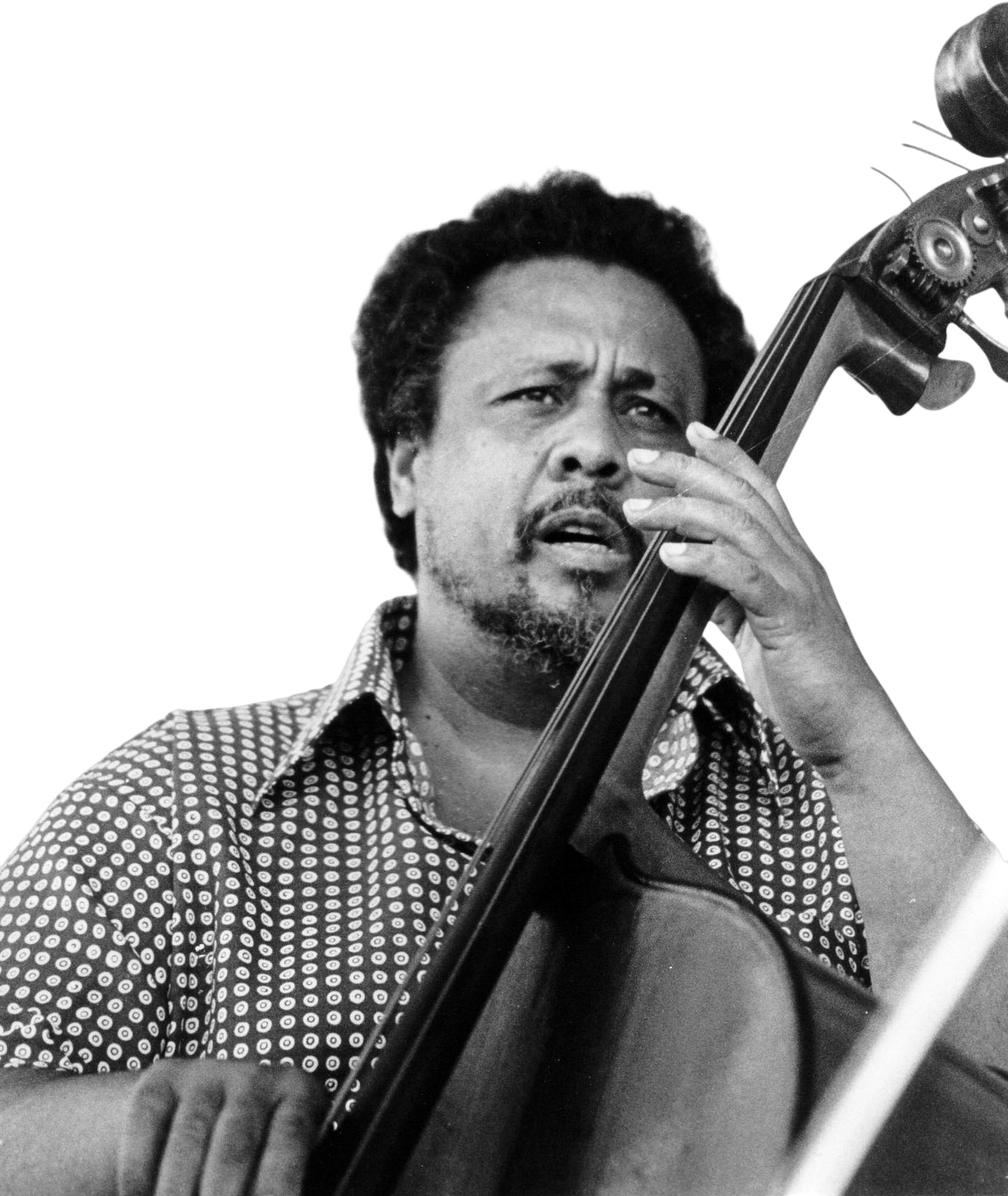 Charles Mingus Essay