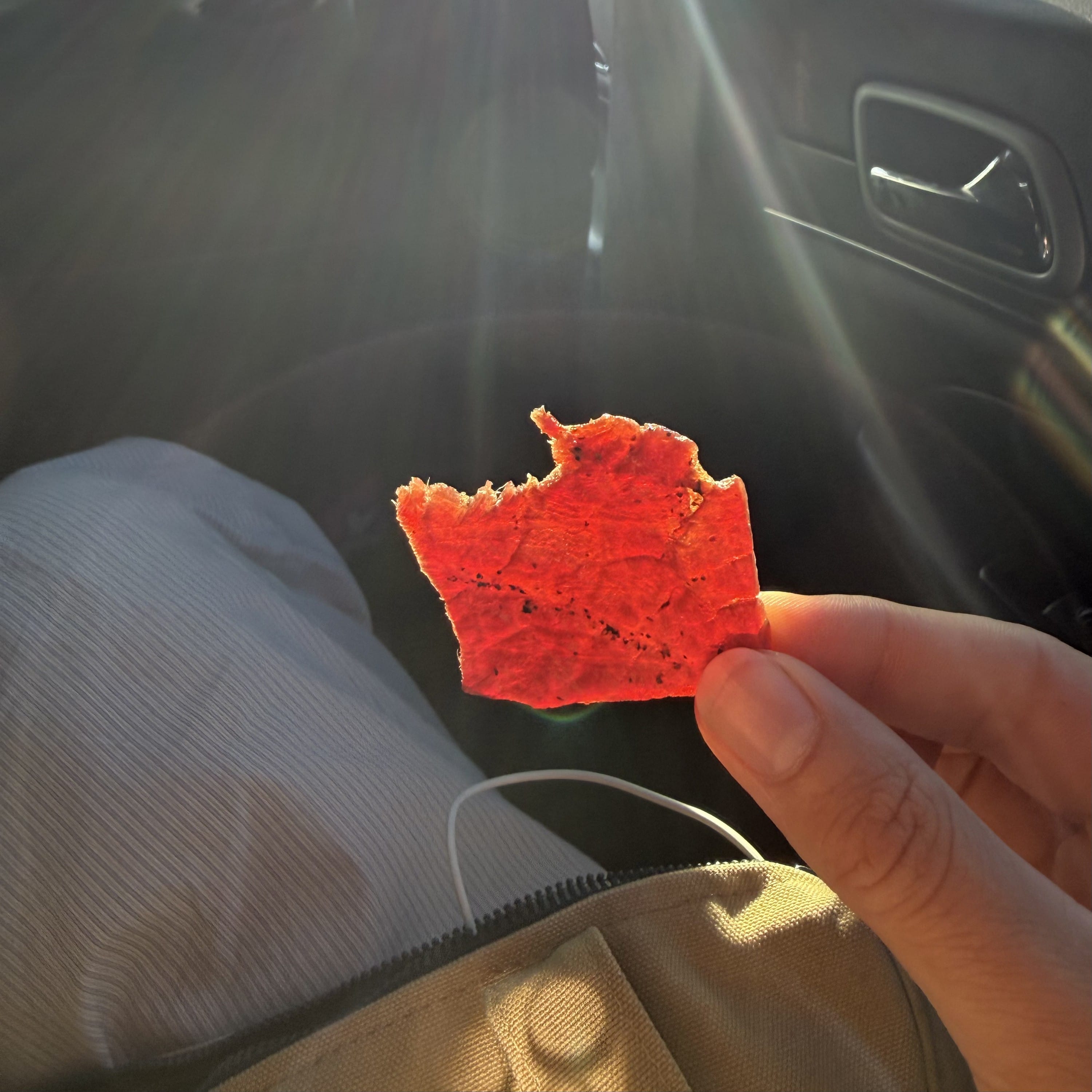 beef jerky