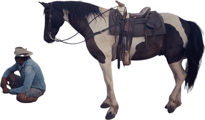 High Horse Malibu