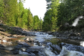 lester creek park
