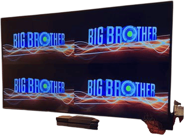 big brother live feeds