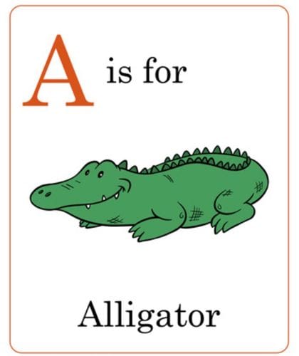 Alphabet Road Trip Game