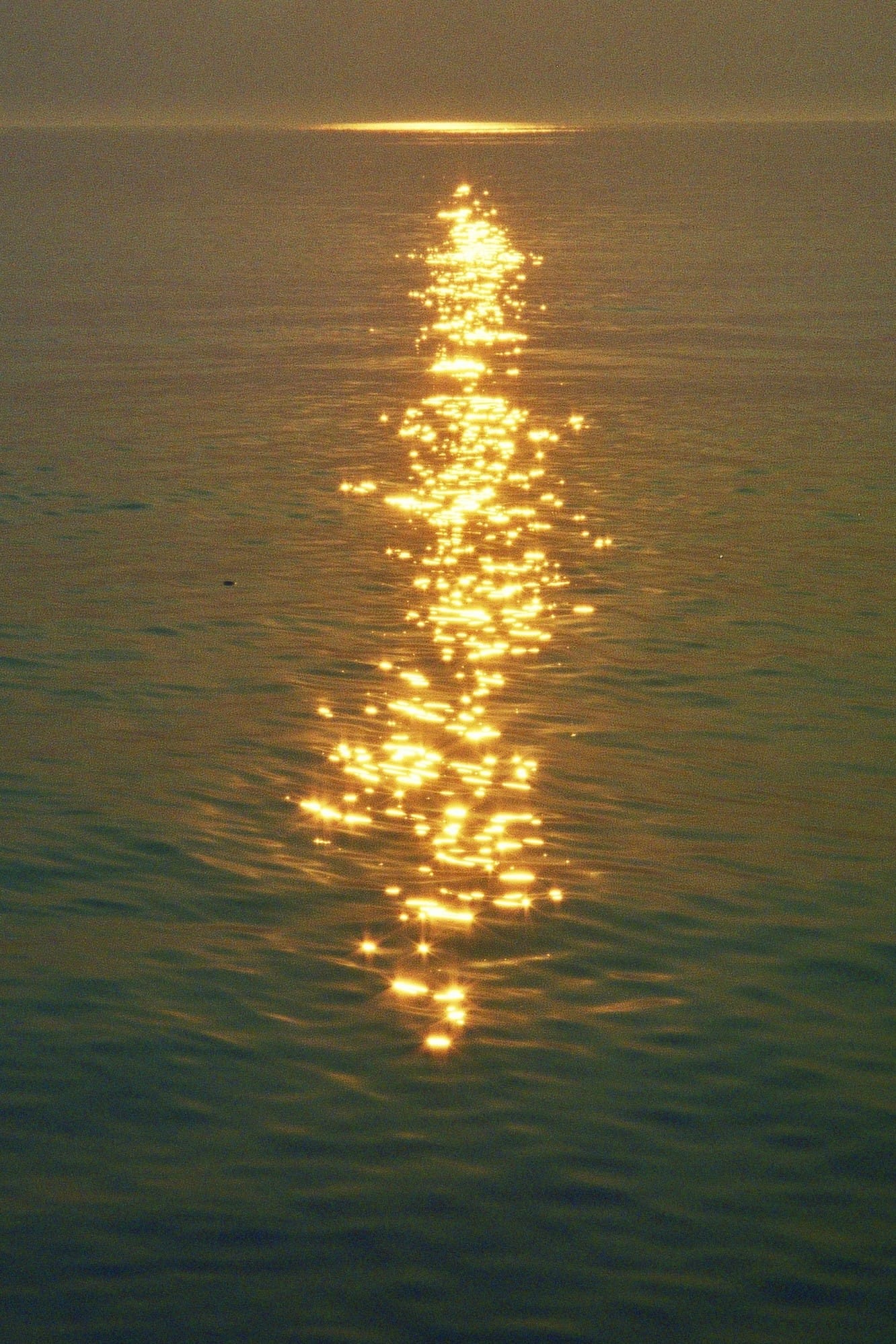 Taking film photos of light sparkling on water