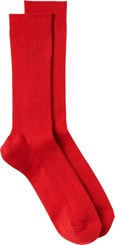 50 Colors Socks