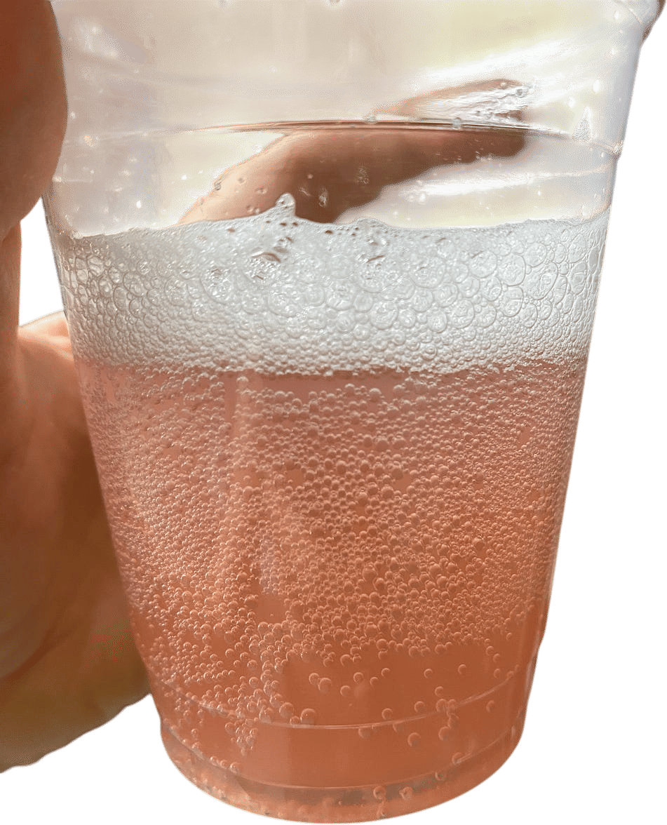 Learn How to Make Water Kefir