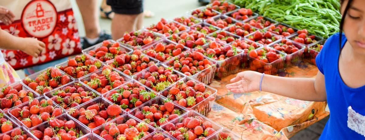 Madison Farmer’s Market