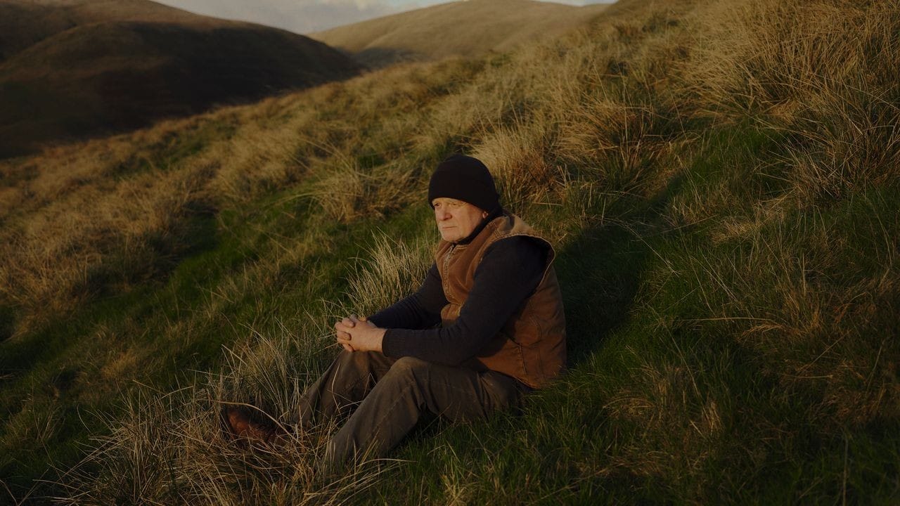 A Landscape Artist in Winter - Andy Goldsworthy in the New Yorker
