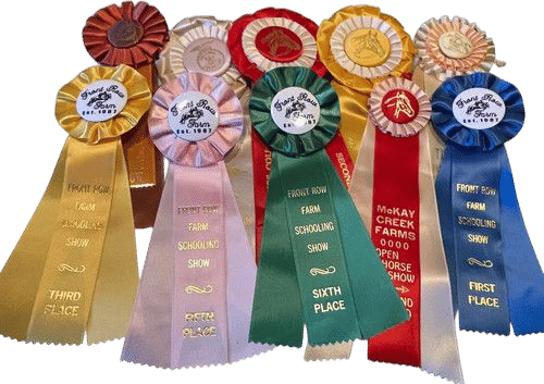 70s-90s Lot 10 horse show ribbons rosettes crafts Georgia North Dakota Oregon