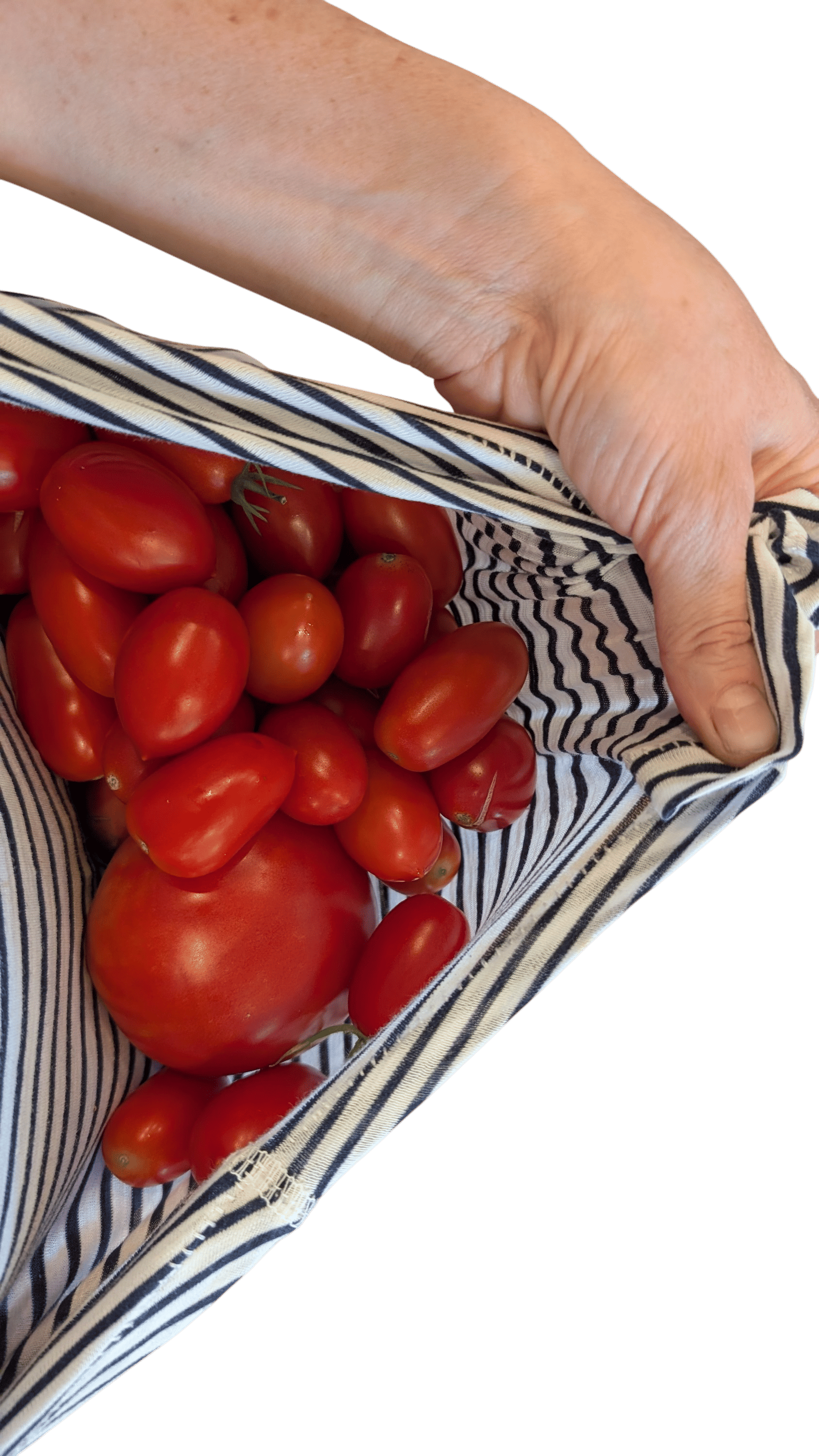 Impromptu tomato harvests that end up in your inverted tshirt
