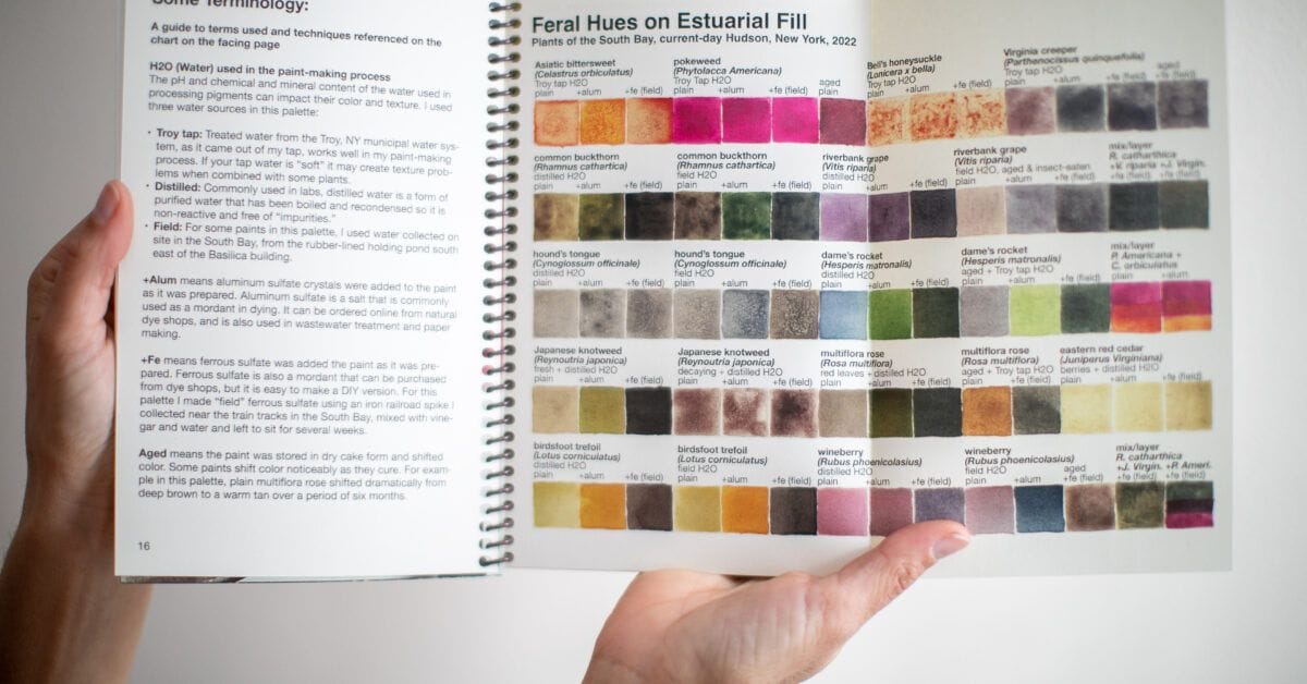 Feral Hues: A Guide to Painting with Weeds