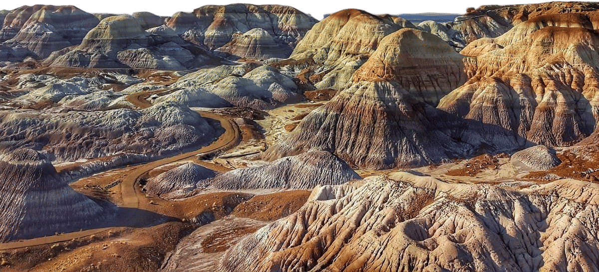 petrified forest national park