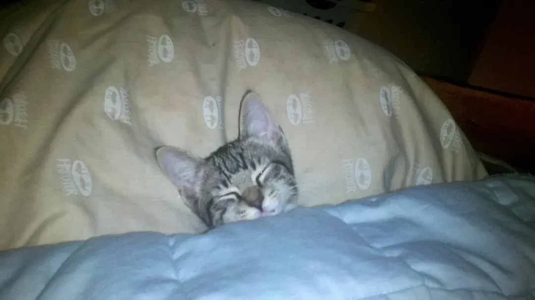 Having the entire bed to yourself