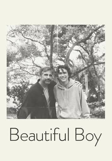 Beautiful boy - David Sheff