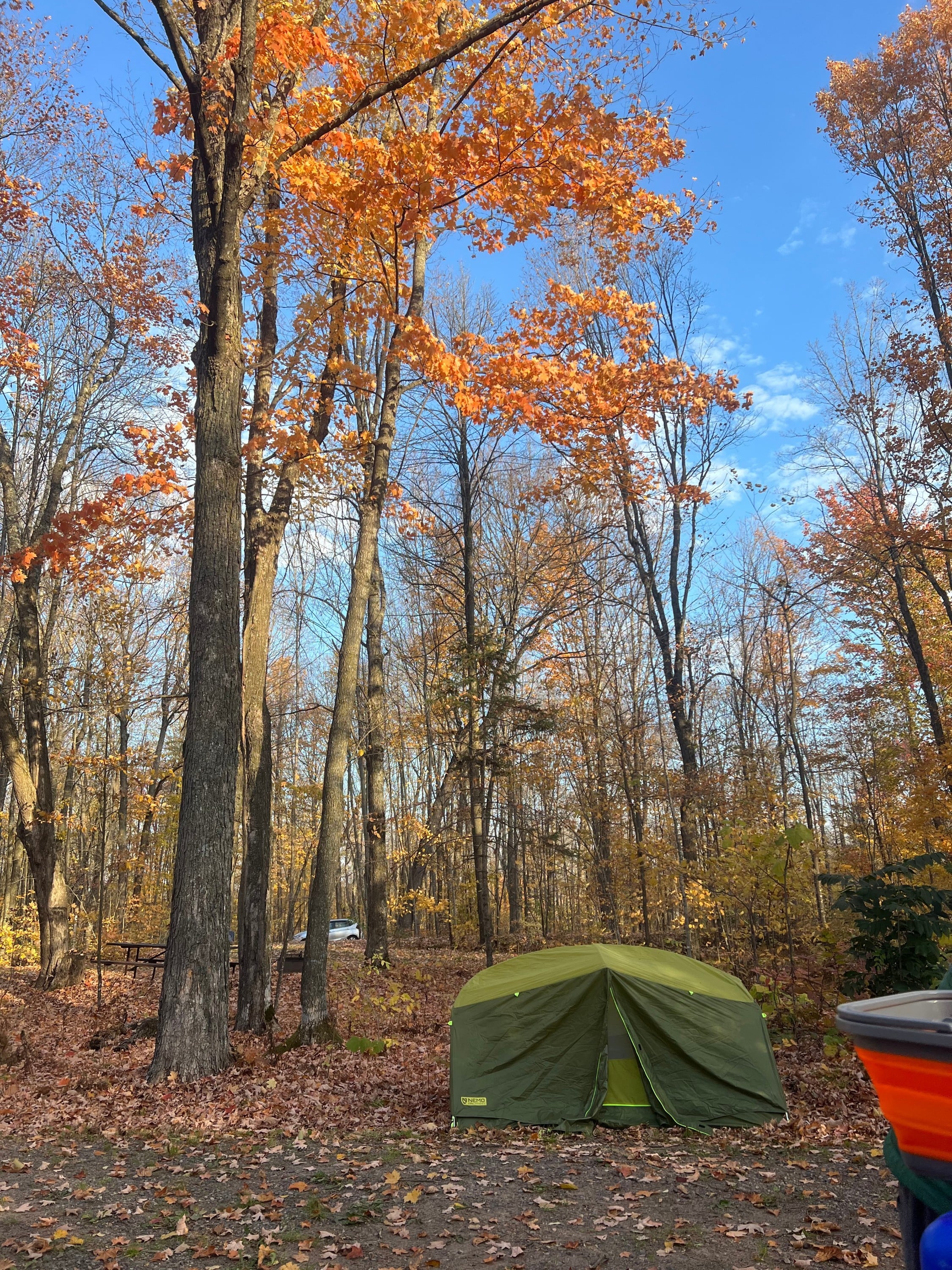 Flambeau River State Forest, WI