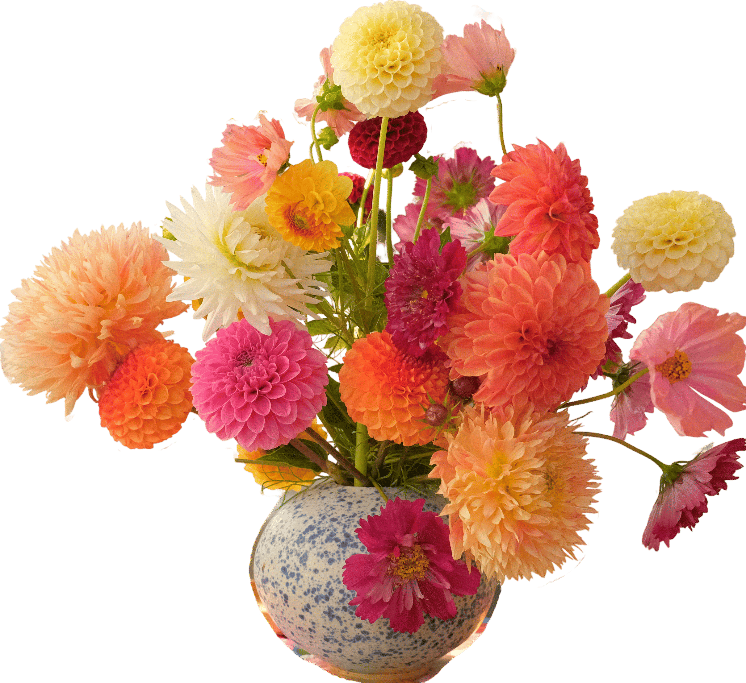 Growing your own flowers