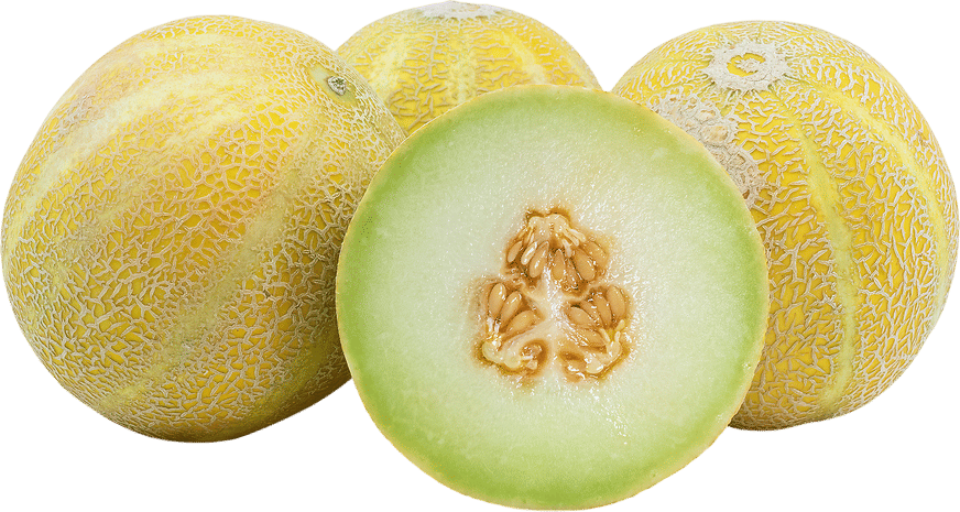 Lemon Drop Melon