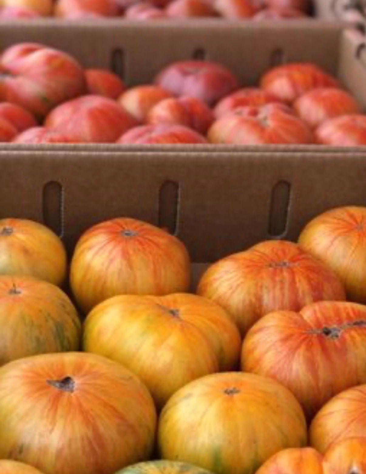 Sonoma Valley Farmers Market