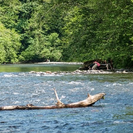 Flaming Geyser State Park