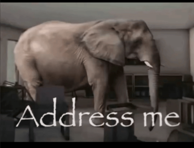 "Address me" elephant meme