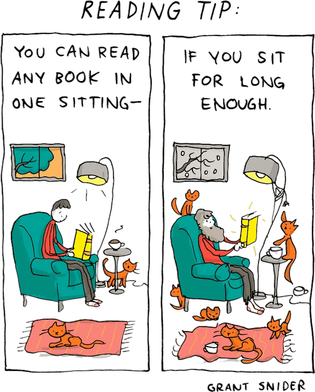 Incidental Comics