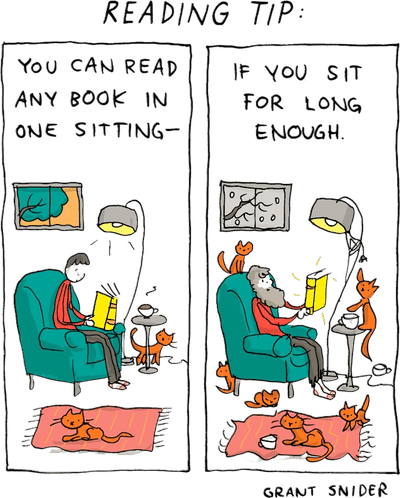 Incidental Comics