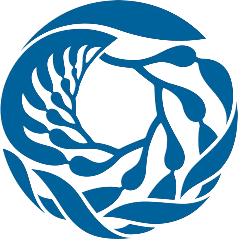 monterey bay aquarium youtube
