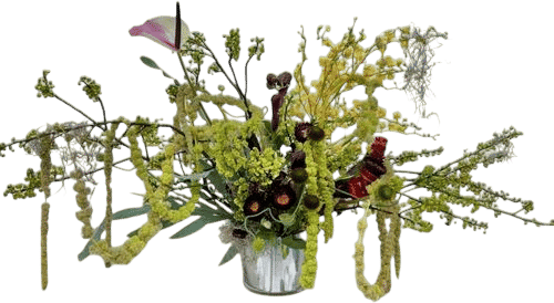 Cobra Lily Floral Design (@cobralily)