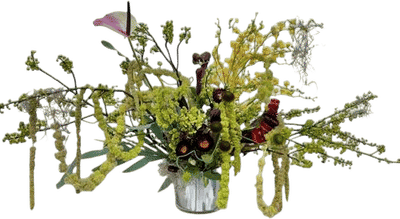 Cobra Lily Floral Design