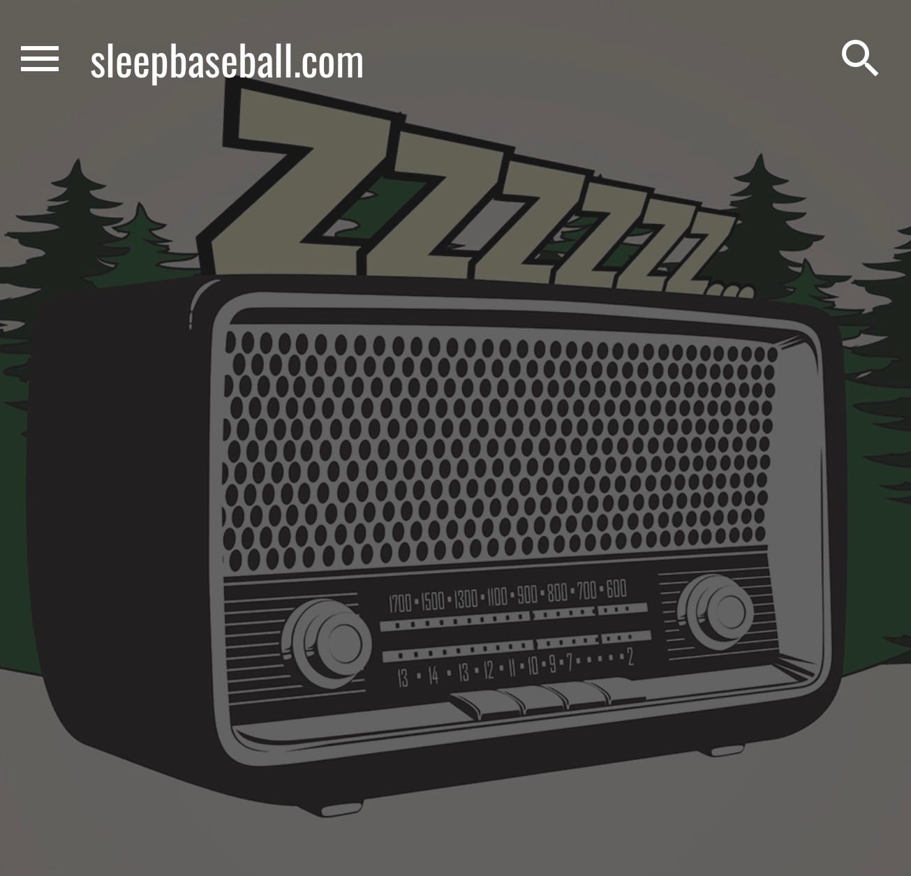 Northwoods Sleep Baseball