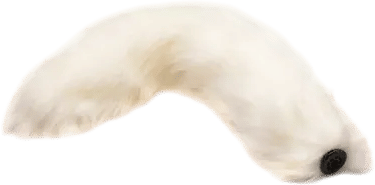 Snap-On White Fox Tail