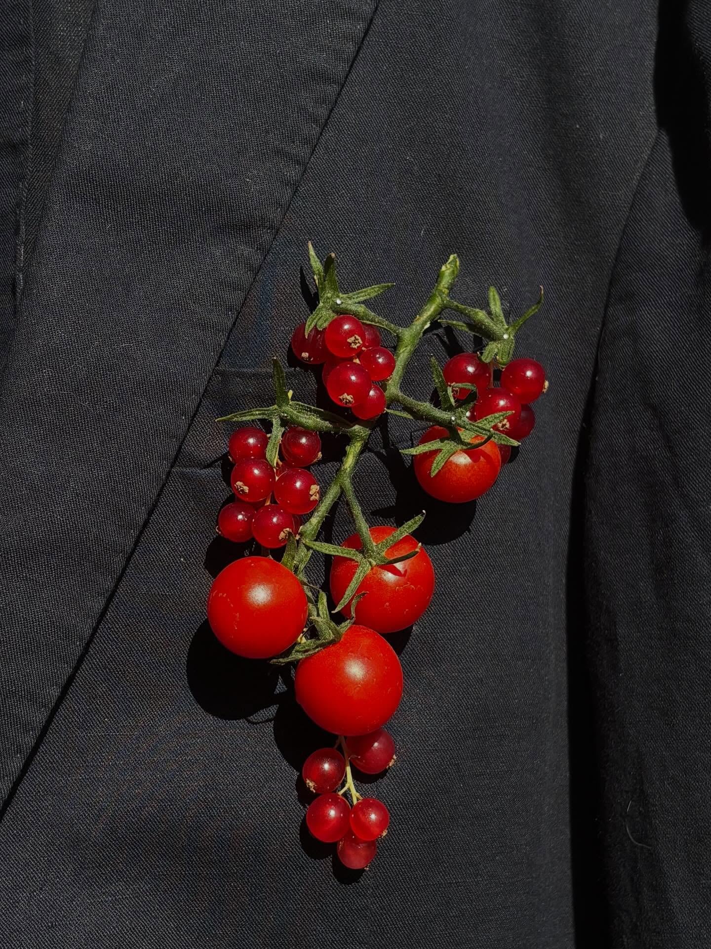 Tomato boutonnière