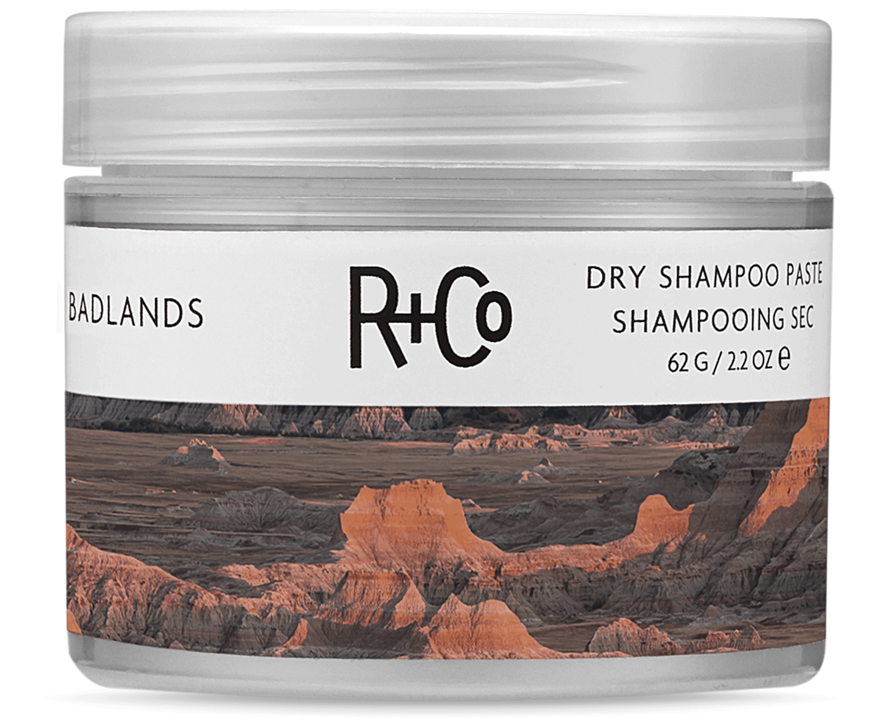 r&co dry shampoo paste