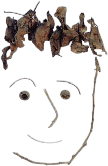 Foraged Faces